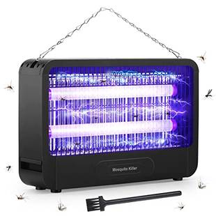 Insektenvernichter im Test & Vergleich: 2 klare Sieger! - heimwerker.de