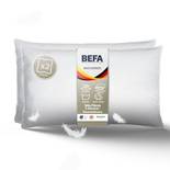 Befa Natur Daunenkissen