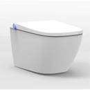 Bernstein Dusch-WC Basic 1104