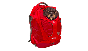 Hunderucksack