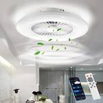 BKZO Deckenventilator mit Lampe