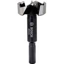 Bosch Professional Forstnerbohrer