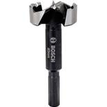 Bosch Professional Forstnerbohrer