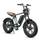 Herren-E-Bike