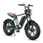Herren-E-Bike