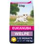 Welpenfutter
