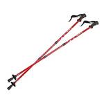 Eurobatt Nordic Walking Stöcke