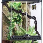 Terrarium