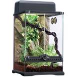 Exo Terra Starterset "Regenwald"
