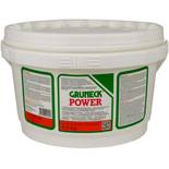 Grüneck Abbeizer Power