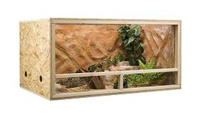 Terrarium