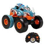 Hot Wheels Monster Trucks HPK27
