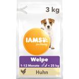 Iams Junior Hundefutter