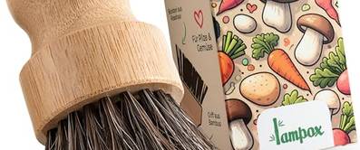 Pilze züchten: In 7 Schritten zur Pilzkultur zuhause