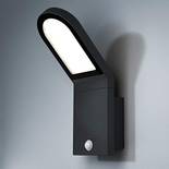 Ledvance LED Wand- und Deckenleuchte