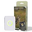 Lildog Lilcat GPS und Activity Tracker