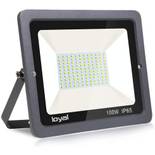 Loyal LED-Außenstrahler