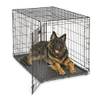 Hundebox