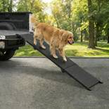 Niubya Hundetreppe Auto