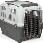 Hundebox