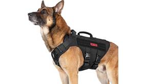 Hundegeschirr