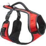 PetSafe Easy Sport