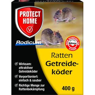 Rattengift im Test & Vergleich 2 klare Sieger! heimwerker.de