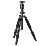 Rollei Compact Traveler No. 1 22585