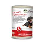 SALiNGO Allergie Premium