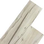 Stilista 40170031