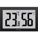 Thermometer