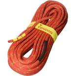 Tendon Smart Lite 9.8