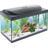 Tetra  Regular Starter Line Aquarium