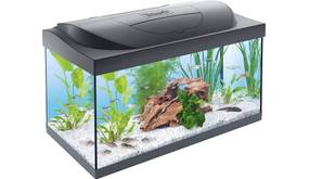 Aquarium