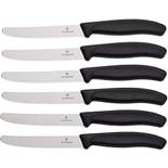 Victorinox Swiss Classic