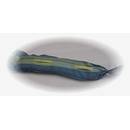 Zill 500172