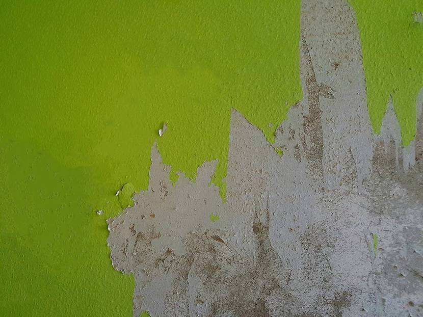 Tapete samt Dispersionsfarbe lässt sich leicht von der Wand ablösen.