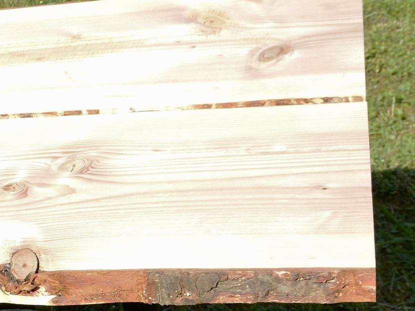 Douglasiebohlen, ungesäumt und mit der typischen Zeichnung für diese Holzart