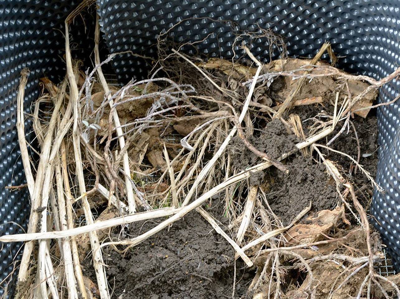 Hochbeet anlegen 9 Tipps für eine erfolgreiche HochbeetErnte heimwerker.de