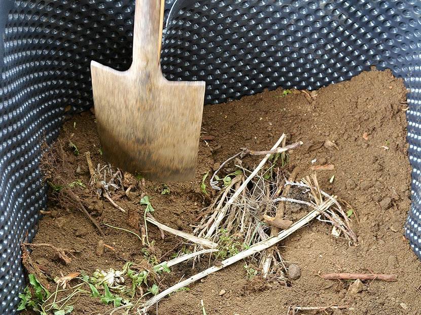 Der kompostierte Mist oder Kompost wird mit etwas Gartenerde gemischt und abgedeckt.