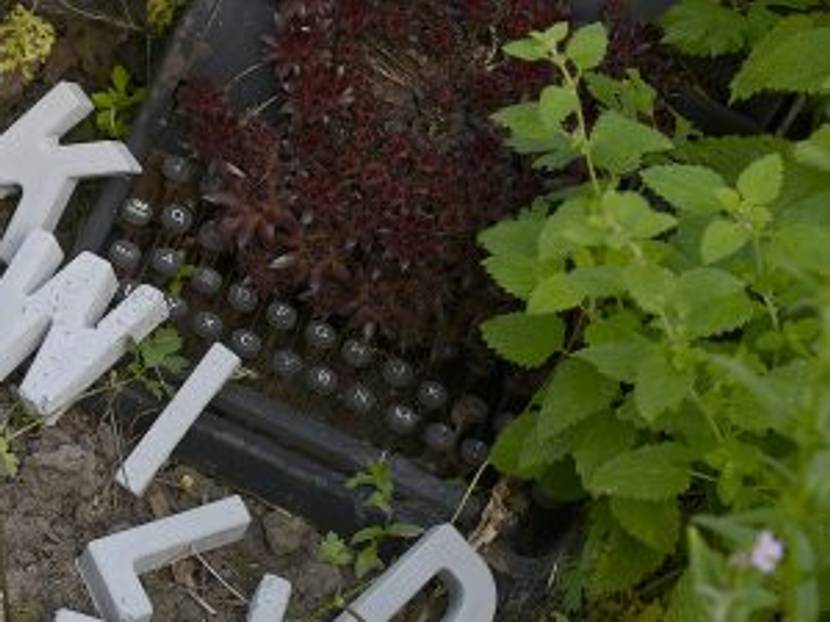 zementbuchstaben zur alten Schreibmaschine