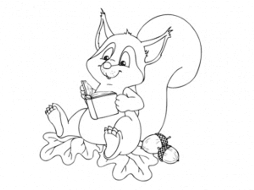 Malvorlage Eichhörnchen