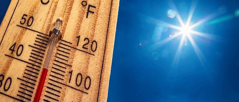 Thermometer Test