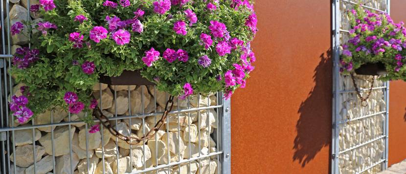 gabionen-mit-blumen-sichtschutzzaun