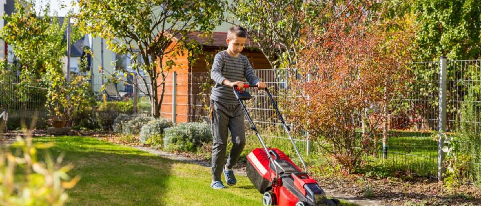 AkkuRasenmäher mit Mulchfunktion im Test & Vergleich 2 klare Sieger