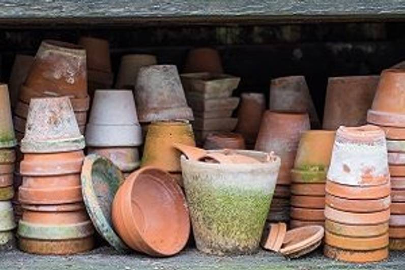 Terrakotta bemalen Töpfe aus Terrakotta in 5 Schritten verschönern