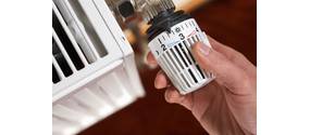 Alternative Heizsysteme: Heizen ohne fossile Brennstoffe
