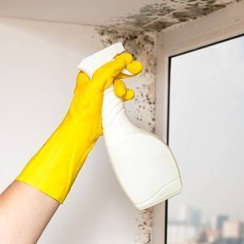 anti-schimmel-farbe-spray auf schimmelbefallene ecke am Fenster gesprüht