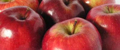 Apfelsorten Übersicht - Beschreibung der beliebtesten Apfelarten mit Erntezeit