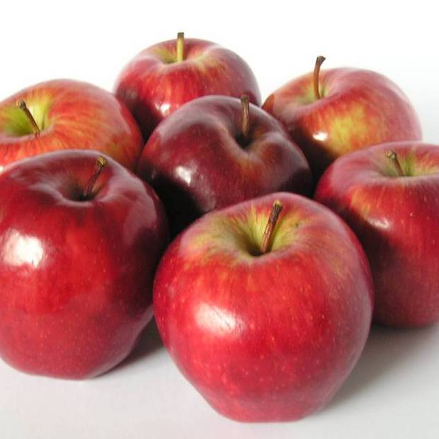 Apfelsorten Übersicht Beschreibung der beliebtesten Apfelarten mit